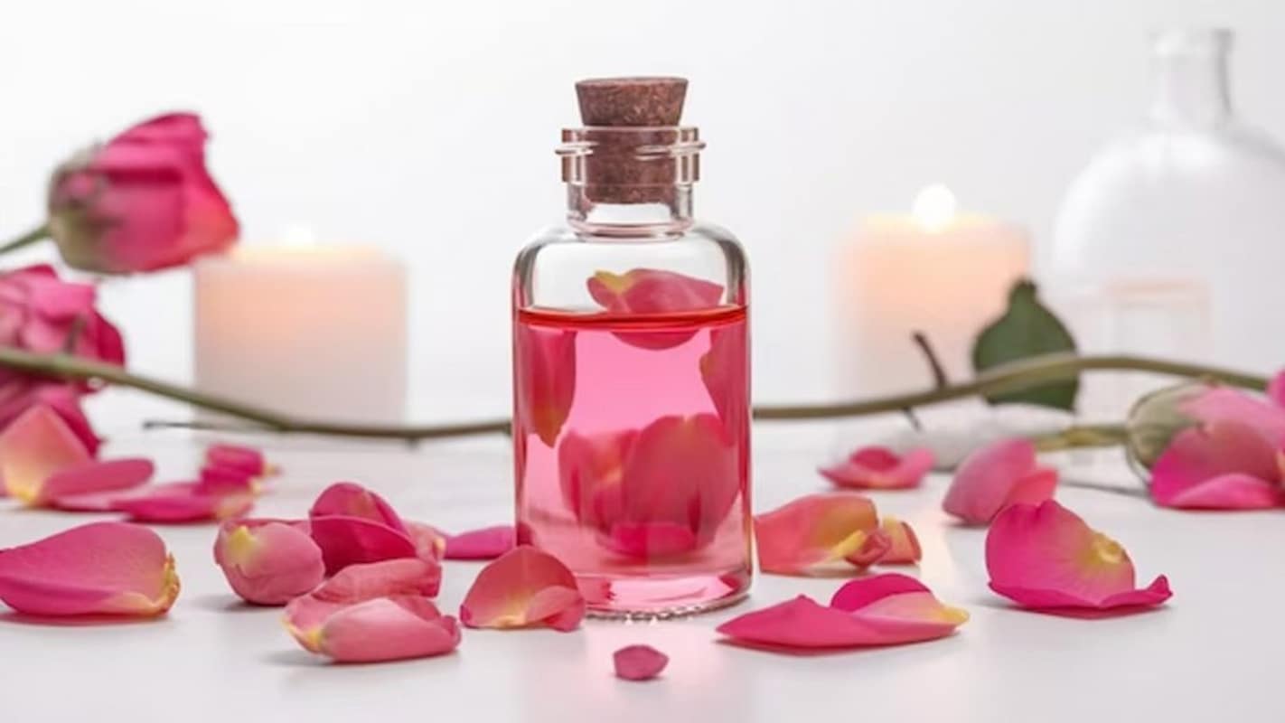 گلاب مرغوب انتخابی مناسب برای مصارف خوراکی